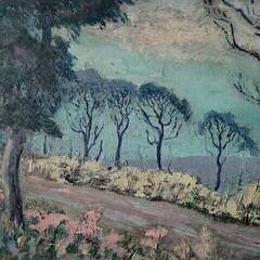 Vinylplade Advance Base - Horrible Occurences (LP)