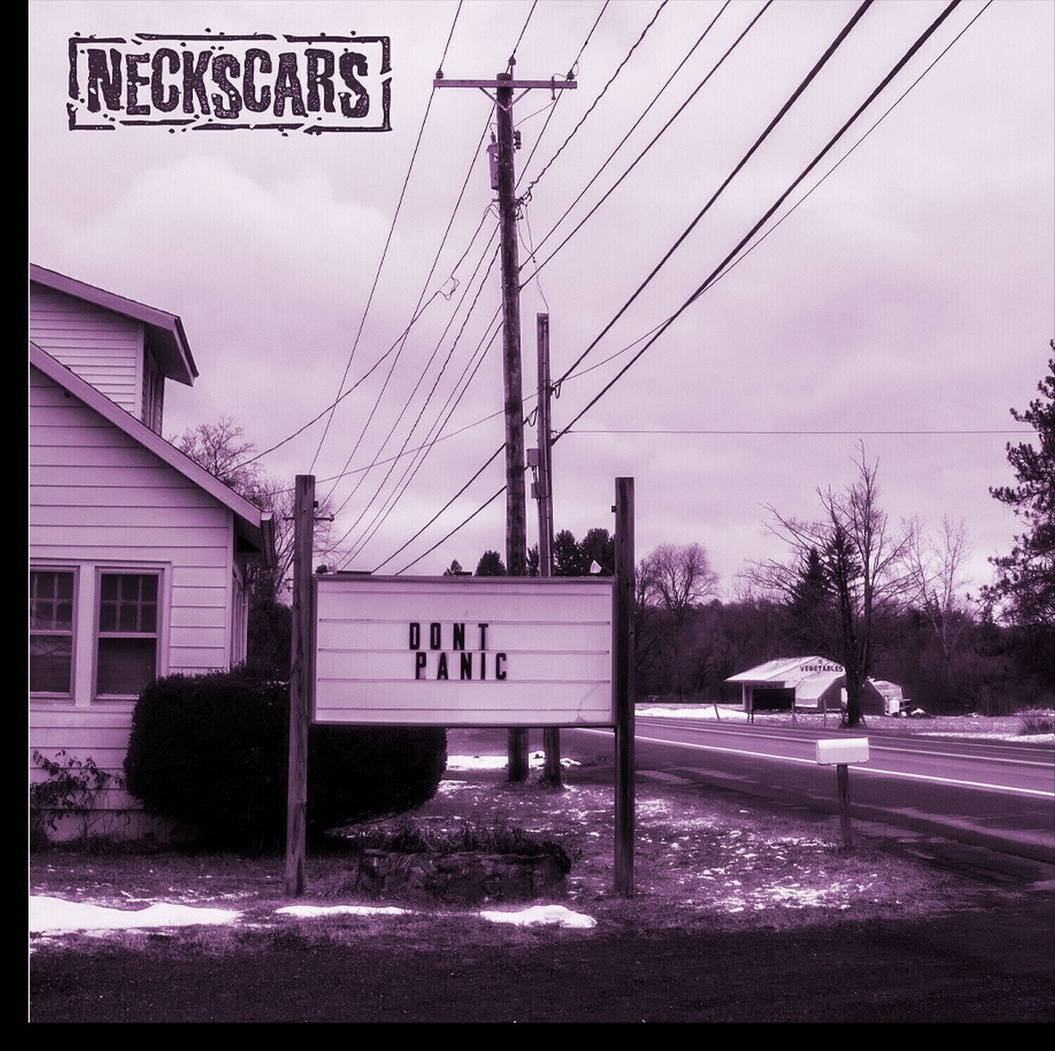 Disque vinyle Neckscars - Don't Panic (LP)
