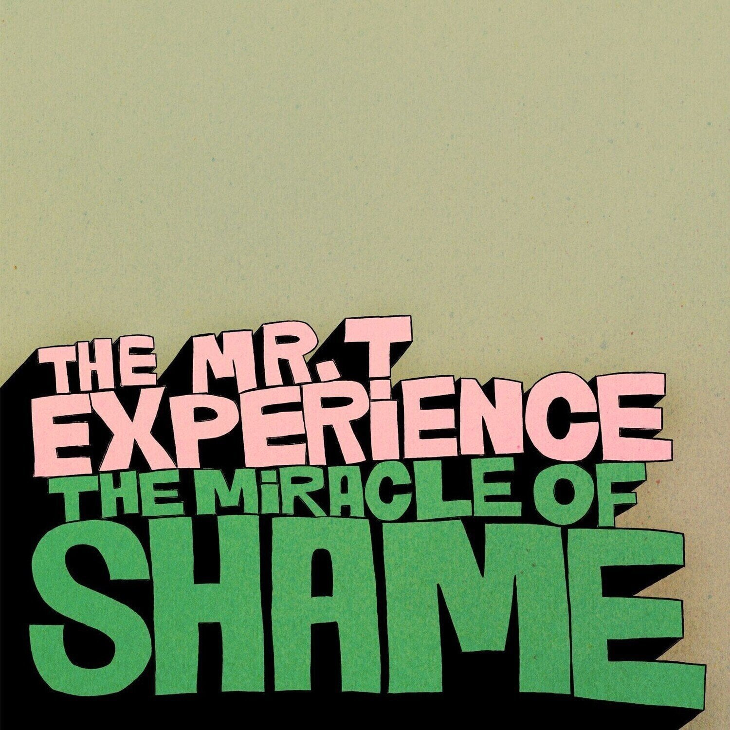Schallplatte The Mr. T Experience - The Miracle Of Shame (LP)