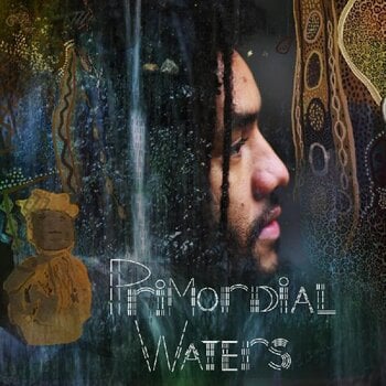 Disc de vinil Jamael Dean - Primordial Waters (2 LP) - 1