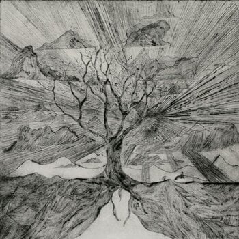 Вінілові платівки Myrddin - Monstruos Y Duendes Vol. 1 : Myfyrio (LP) - 1