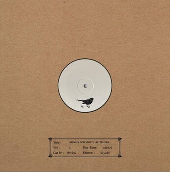 Disco in vinile Various Artists - Songs Without Authors Vol 01 (Limited Edition) (2 LP) - 1