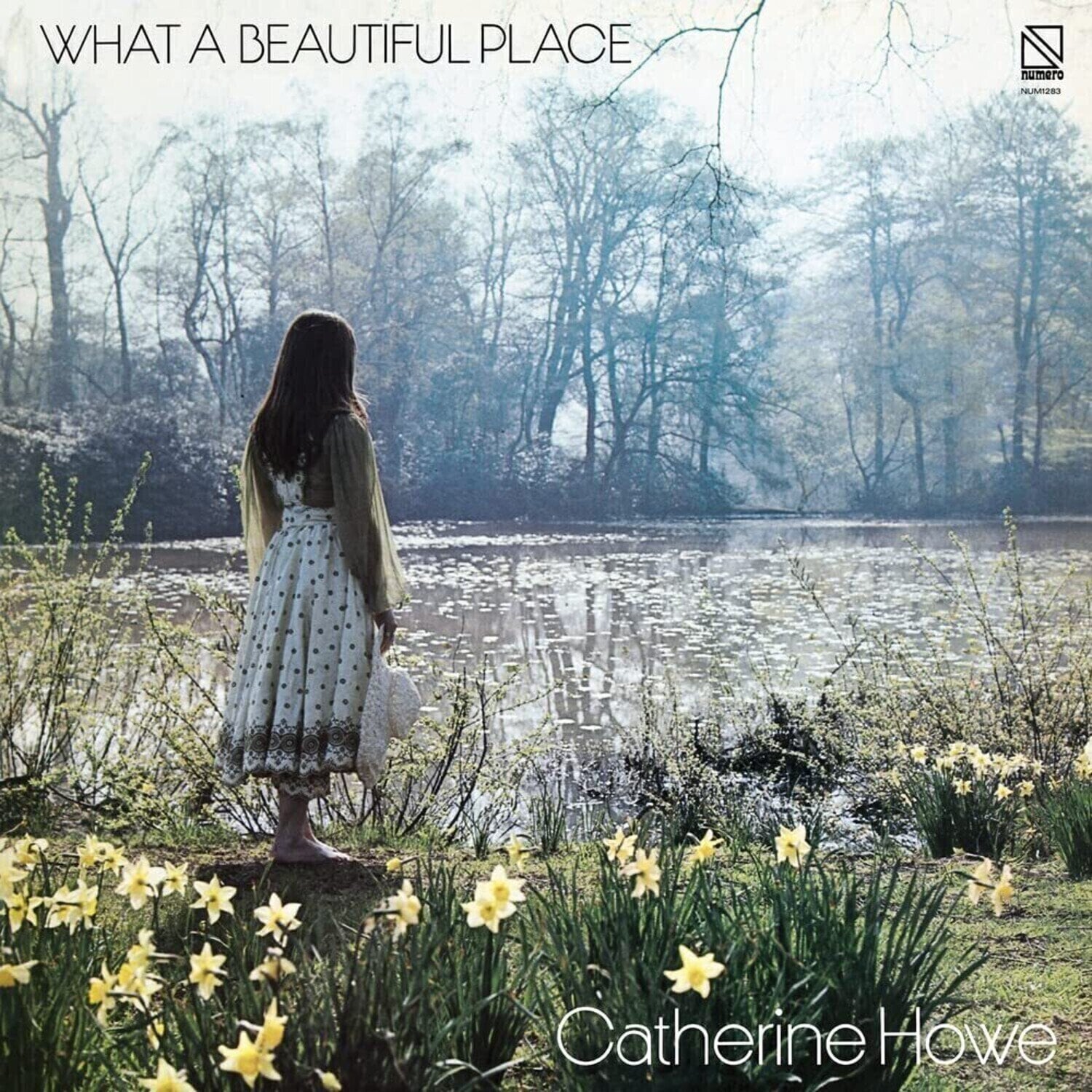 Vinyl Record Catherine Howe - What A Beautiful Place (LP)