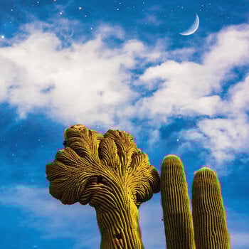 LP ploča Diespnea - Radici (LP) - 1