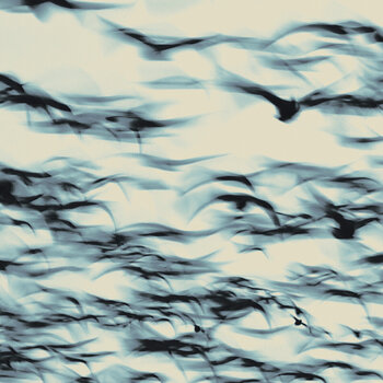 Disco in vinile Bellbird - The Call (LP) - 1