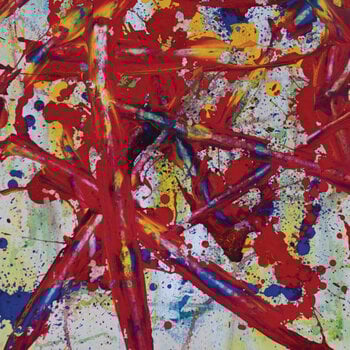 Disc de vinil Drew Gardner - Wave Field (LP) - 1