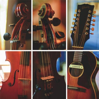 Vinyl Record Universal Light - Universal Light (LP) - 1