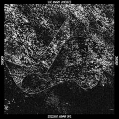 Vinilinė plokštelė The Mary Onettes - Sworn (LP)