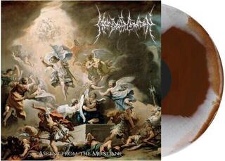 LP ploča Near Death Condition - Ascent From The Mundane (Limited Edition) (Coloured) (LP)