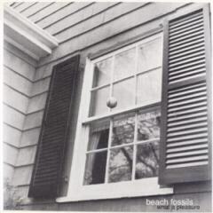 Δίσκος LP Beach Fossils - What a Pleasure (Reissue) (EP)