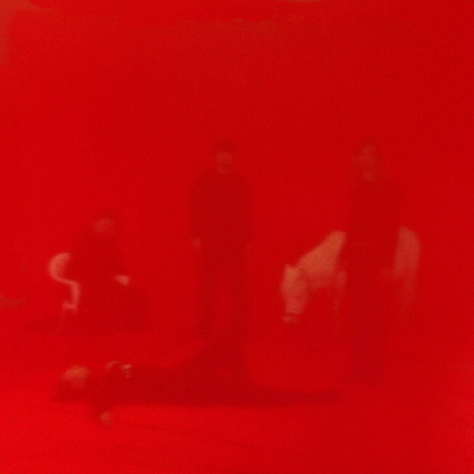 Vinylplate Panda Lux - Herz (LP)