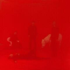 Vinylplate Panda Lux - Herz (LP)