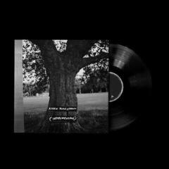 LP ploča Archy Marshall & King Krule - A New Place 2 Drown (Instrumental) (Remastered) (Limited Indie Edition) (LP)