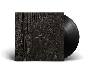 Disco de vinil FJØRT - Belle Époque (LP)