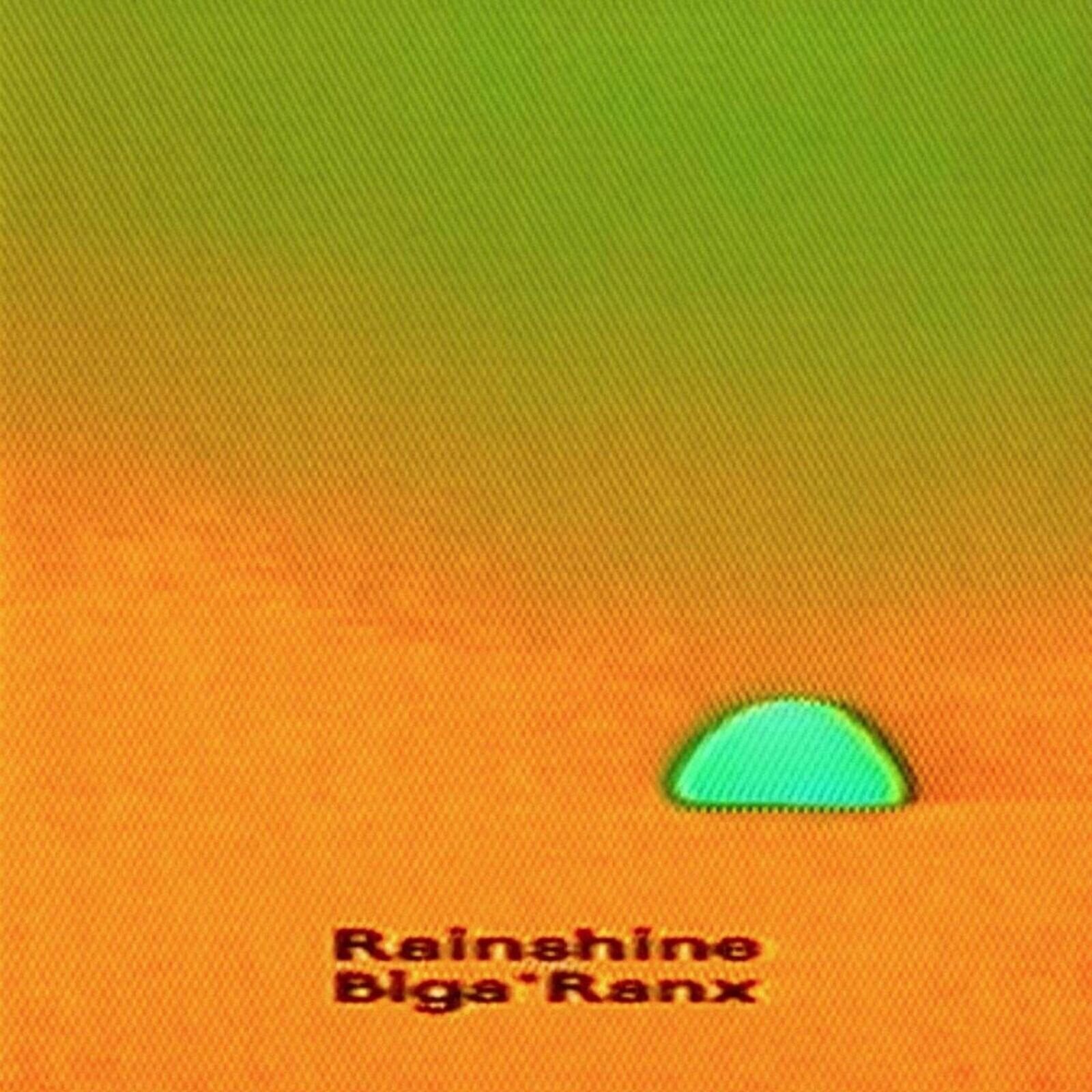 Vinylplate Biga Ranx - Rainshine (2 LP)