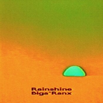 Vinylplate Biga Ranx - Rainshine (2 LP) - 1