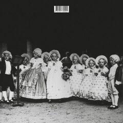 LP ploča Julia Effekt - Nachtparkett (LP)