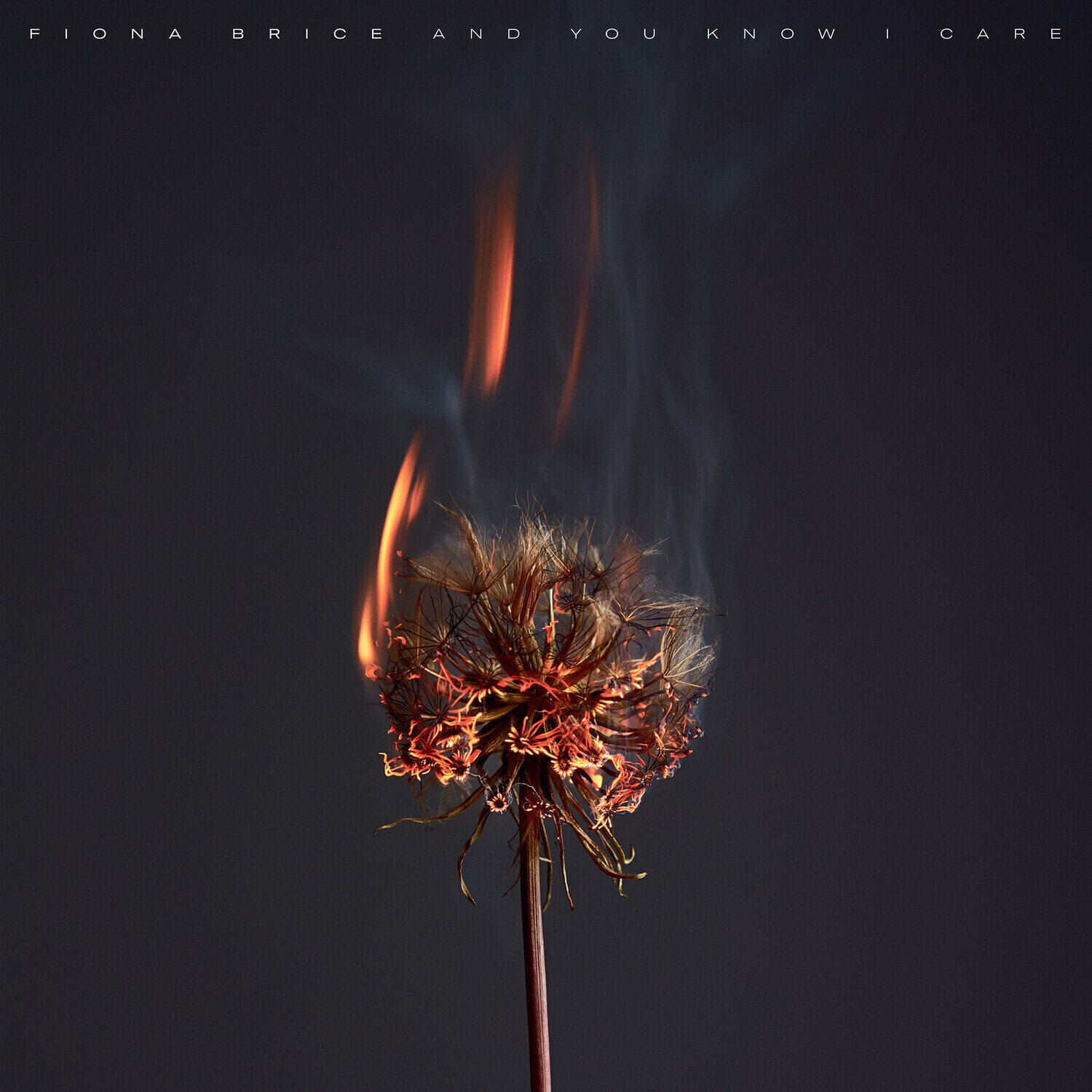 Disque vinyle Fiona Brice - And You Know I Care (LP)