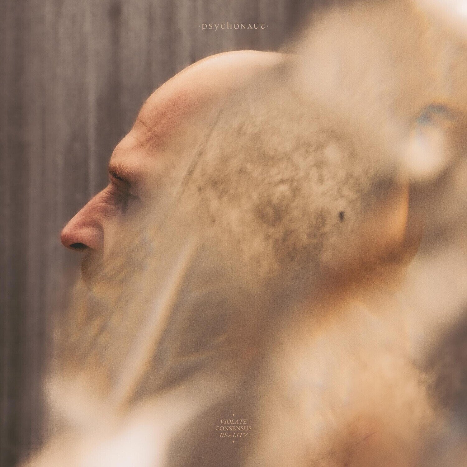 LP ploča Psychonaut - Violate Consensus Reality (2 LP)