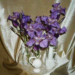 Vinylplate Dives - Wanna Take You There (Limited Edition) (LP)