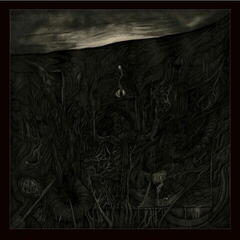 Vinyl Record Innerwoud - Furie (LP)