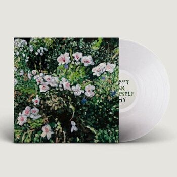 Disc de vinil Jess Locke - Don't Ask Yourself Why (LP) - 1