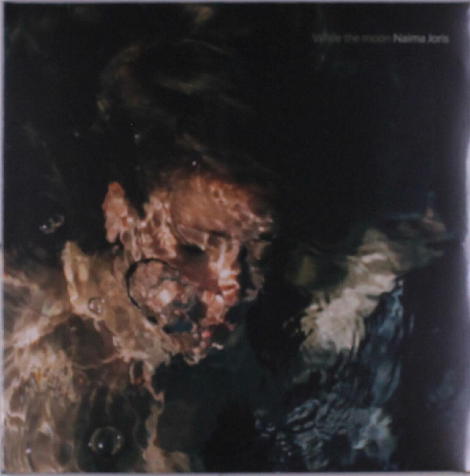 Vinyl Record Naima Joris - While The Moon (LP)