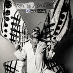 Disco de vinil Rayland Baxter - If I Were A Butterfly (Limited Edition) (Coke Bottle Clear Coloured) (LP)