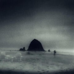 Vinylplate Drowse - Wane Into It (Limited Edition) (LP)