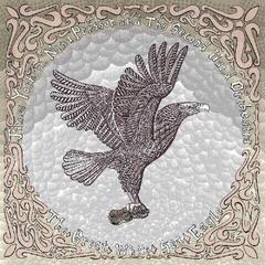 Vinylplate James Yorkston & Nina Persson & The Second Hand Orchestra - The Great White Sea Eagle (LP)