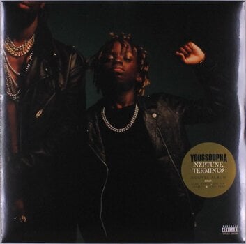 Disc de vinil Youssoupha - Neptune Terminus (Blue Coloured) (LP) - 1
