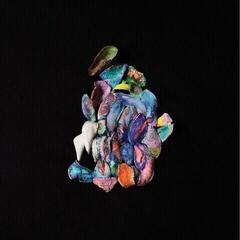 Disc de vinil Rauelsson & Tatu Rönkkö - Myriadi (LP)