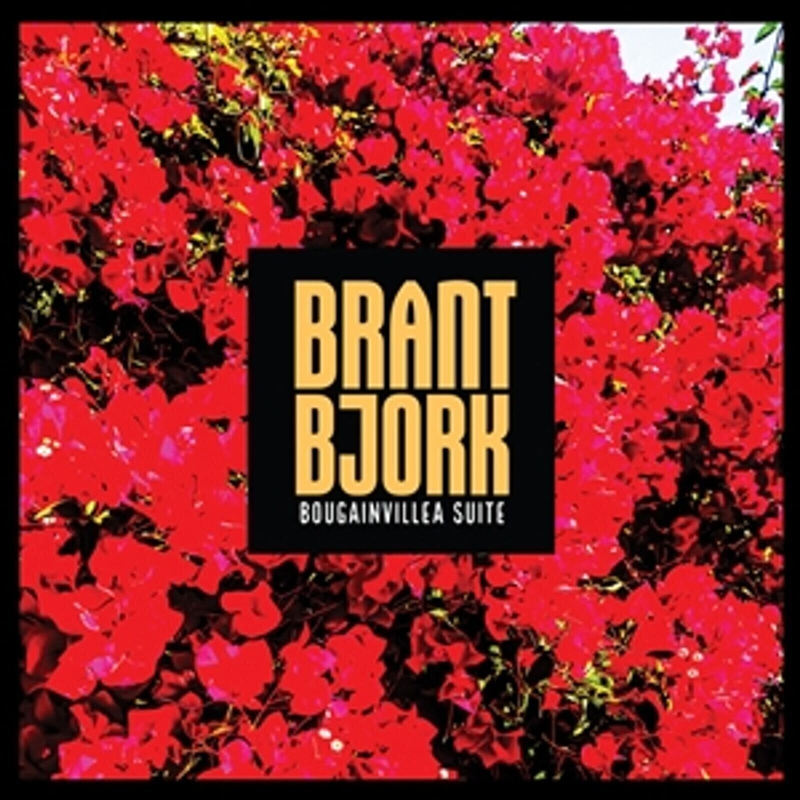 Vinyl Record Brant Bjork - Bougainvillea Suite (Limited Edition) (Blue Coloured) (LP)