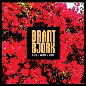 Vinyl Record Brant Bjork - Bougainvillea Suite (Limited Edition) (Blue Coloured) (LP) - 1