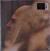 Vinyl Record Psychonaut - Violate Consensus Reality (Limited Edition) (2 LP)