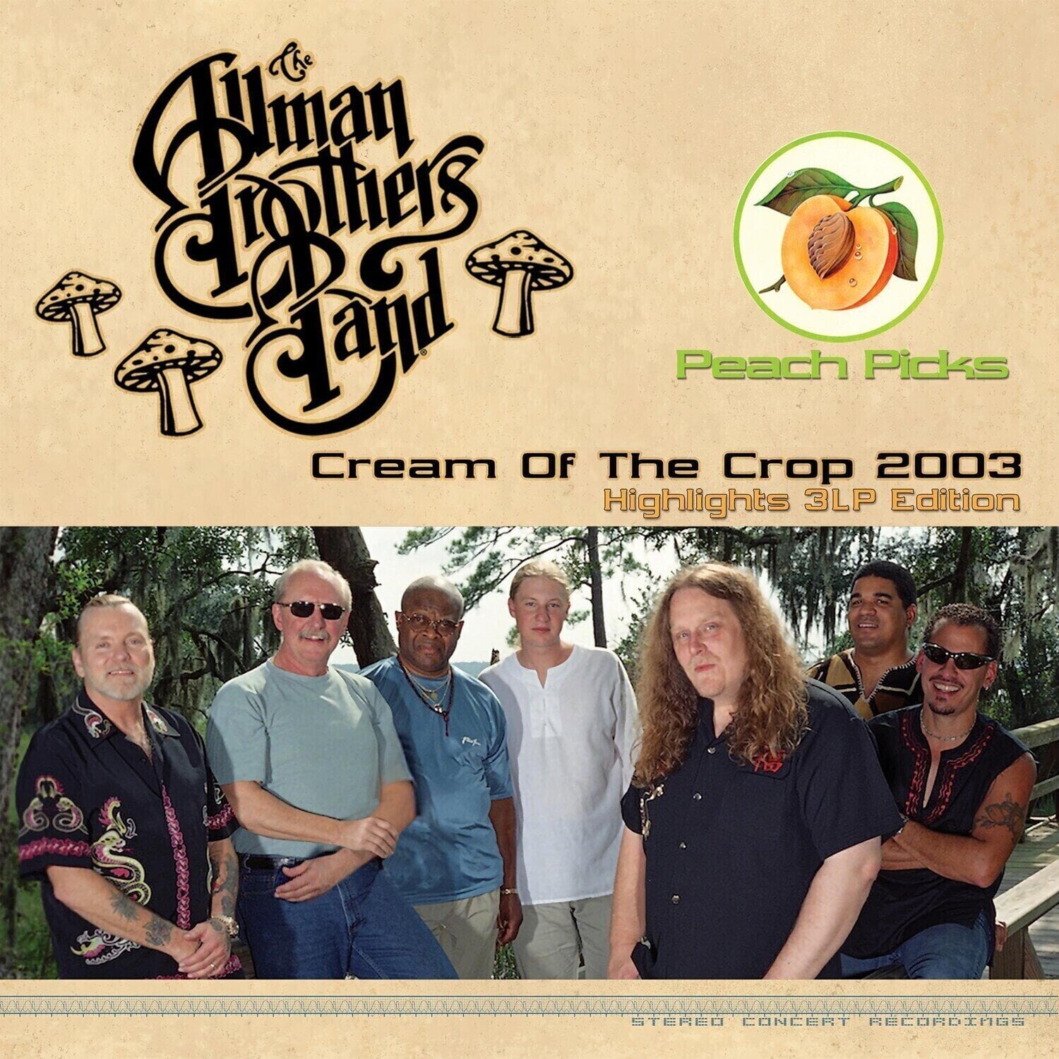 LP plošča The Allman Brothers Band - Cream Of The Crop 2003 (Limited Edition) (Silver Gold /Bronze Coloured) (3 LP)