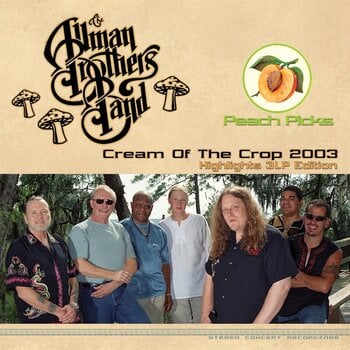 LP plošča The Allman Brothers Band - Cream Of The Crop 2003 (Limited Edition) (Silver Gold /Bronze Coloured) (3 LP) - 1