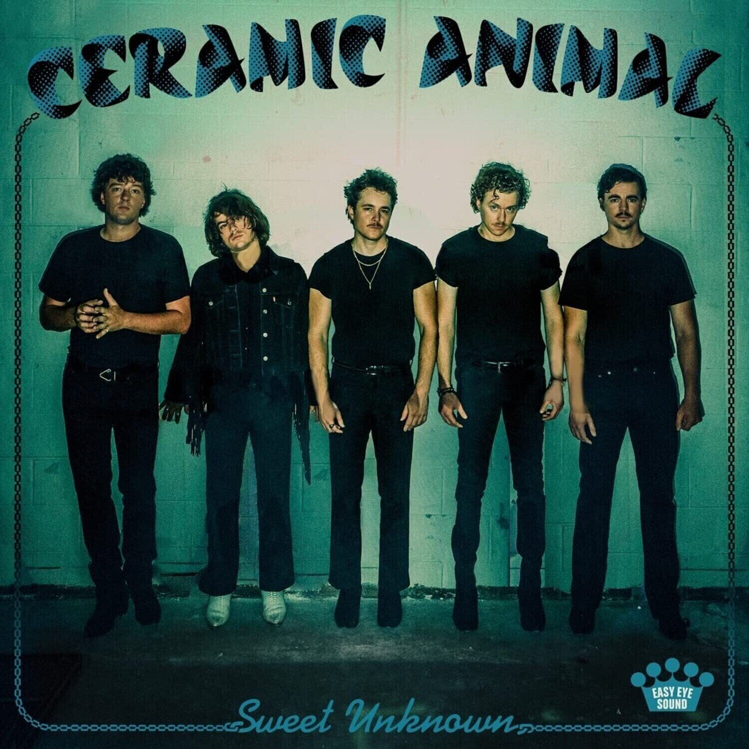 Disco de vinilo Ceramic Animal - Sweet Unknown (Limited Edition) (Blue Smoke Coloured) (LP)