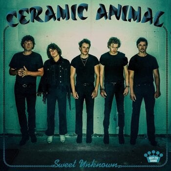 Disco de vinilo Ceramic Animal - Sweet Unknown (Limited Edition) (Blue Smoke Coloured) (LP) - 1