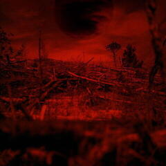 Vinyl Record Monnik - Bitteroogst (LP)