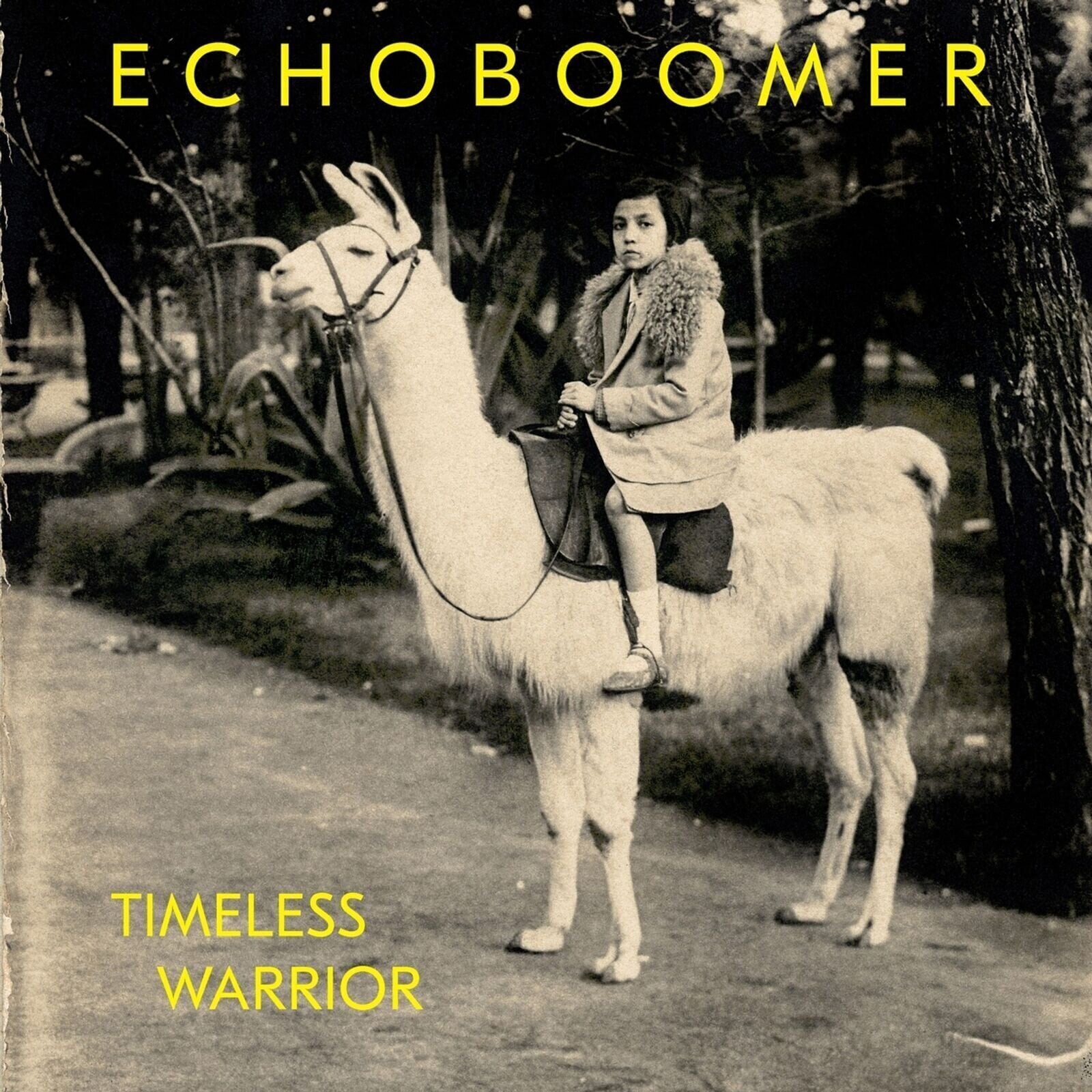 Disc de vinil Echoboomer - Timeless Warrior (LP)