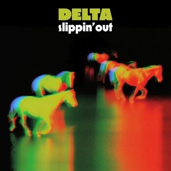 Disc de vinil Delta - Slippin'Out (2 LP) - 1