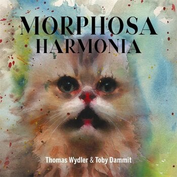 Disc de vinil Thomas Wydler & Toby Dammit - Morphosa Harmonia (Reissue) (Box Set) (180 g) (LP) - 1