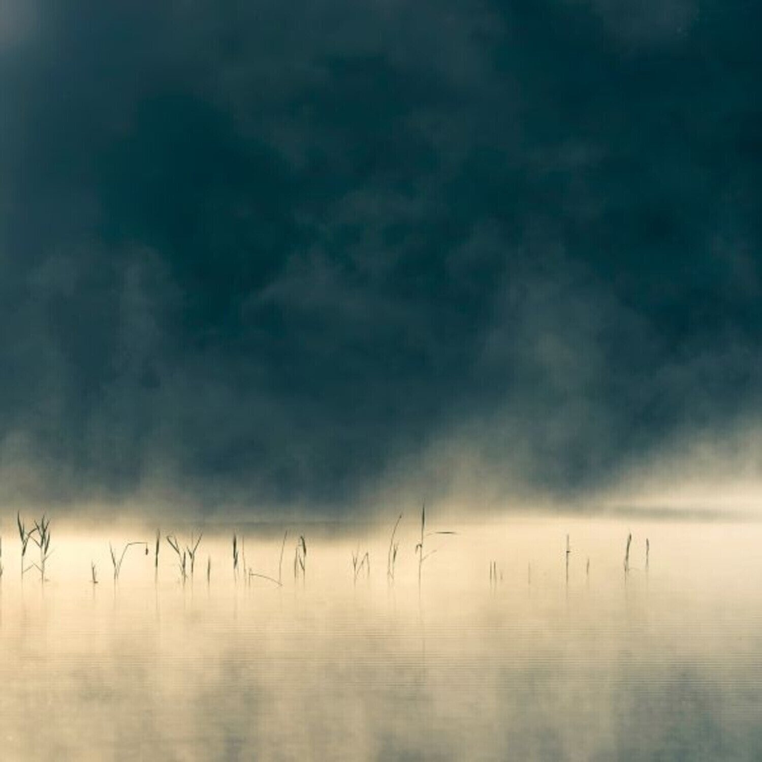 Disc de vinil Oneirogen - Convivium (Limited Edition) (LP)