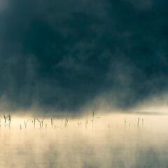 Disc de vinil Oneirogen - Convivium (Limited Edition) (LP)