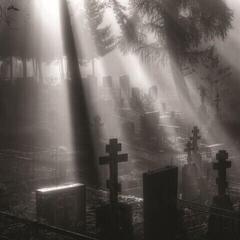 LP ploča Oneirogen - Veni Nox Anima (Limited Edition) (EP)