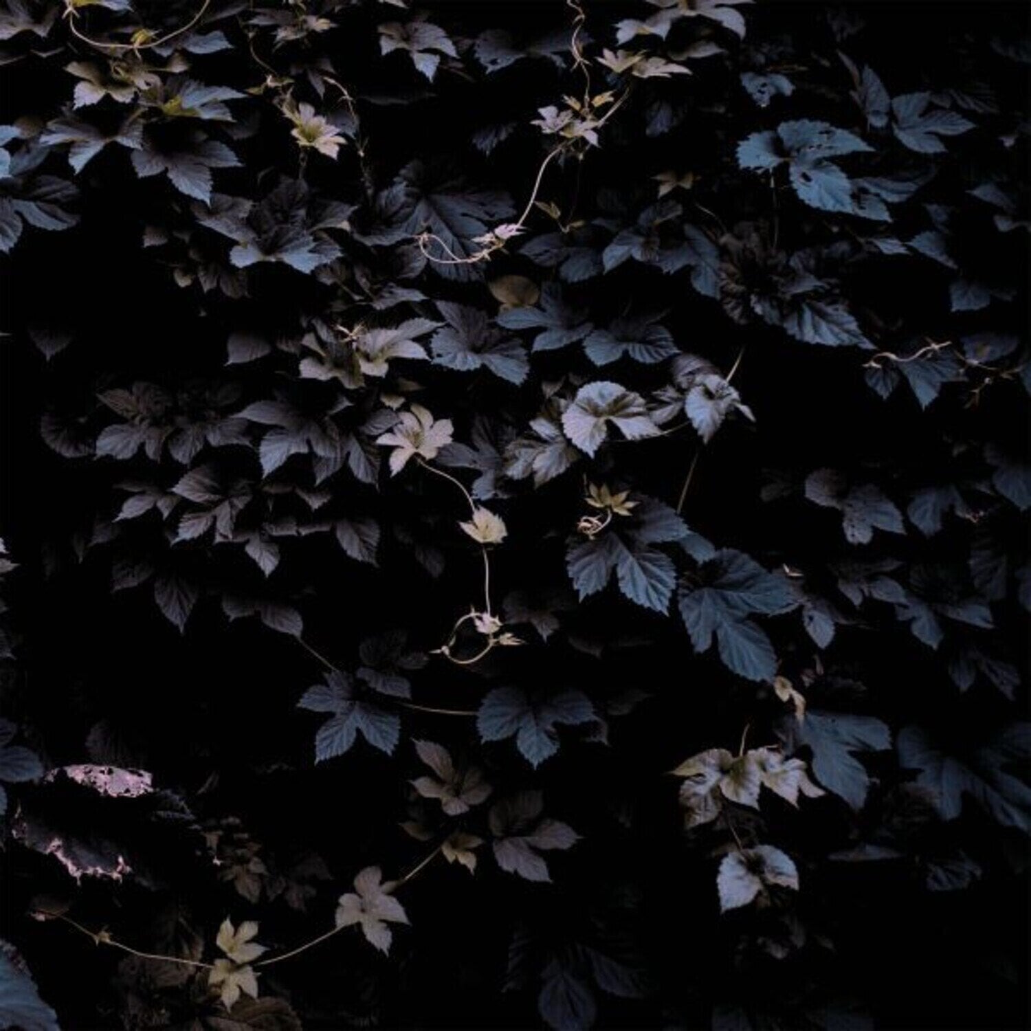 LP plošča Michael Vallera - Vivid Flu (Limited Edition) (LP)