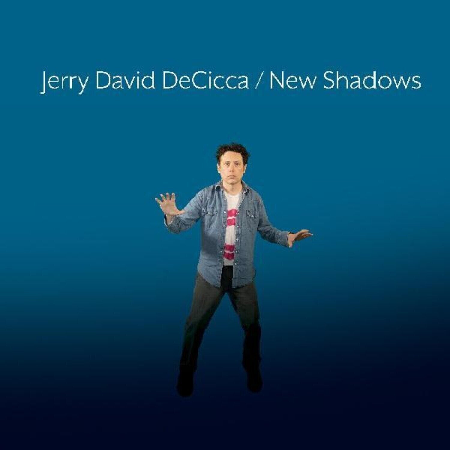 LP plošča Jerry DeCicca - New Shadows (LP)