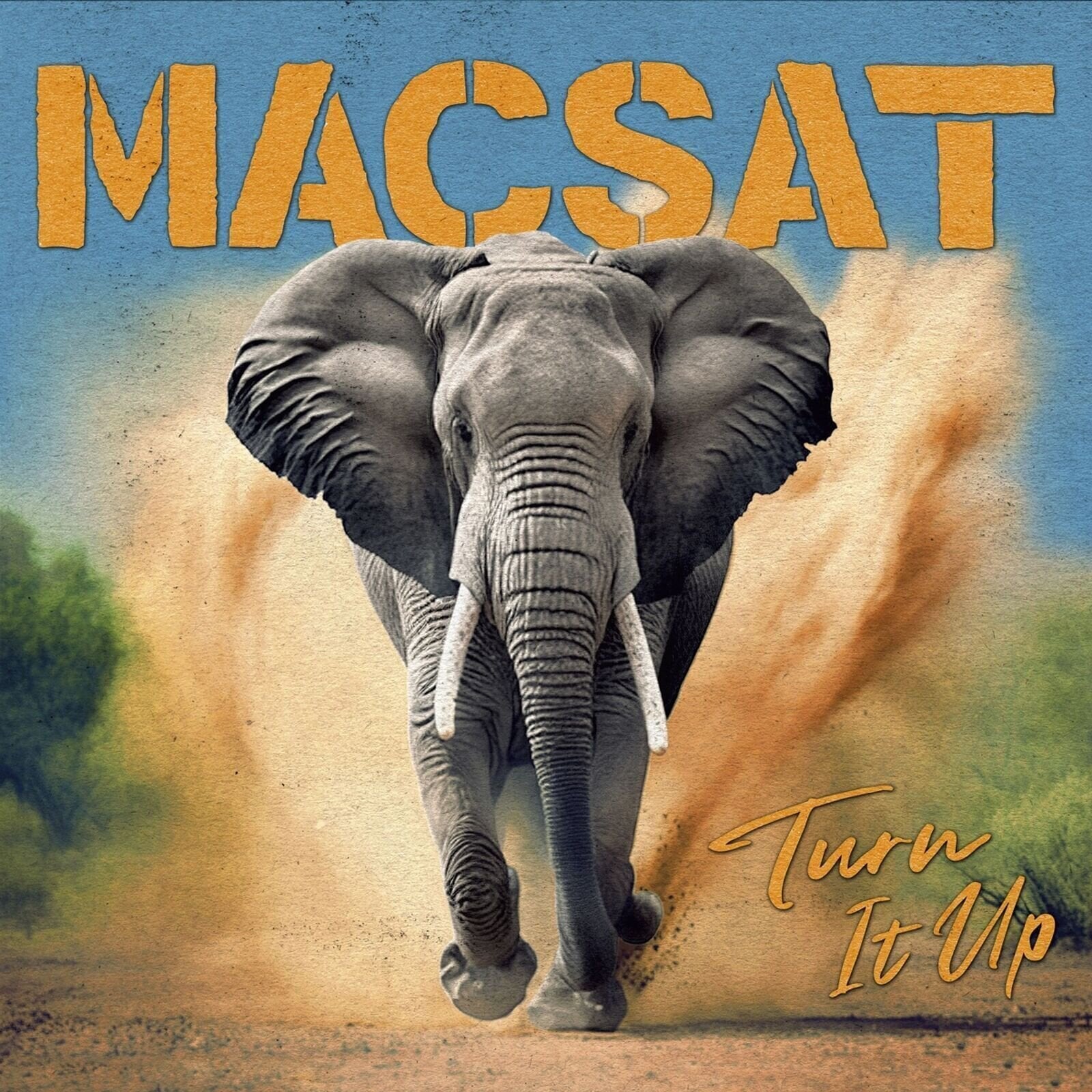 Disco de vinil Macsat - Turn It Up (Limited Edition) (Crystal Clear Coloured) (LP)