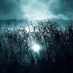 Disc de vinil Oneirogen - Hypnos (Limited Edition) (2 LP)